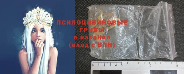 мдпв Бородино