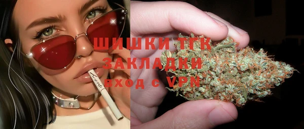 индика Бугульма