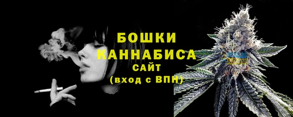 мдпв Бородино