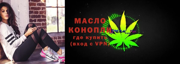 мдпв Бородино