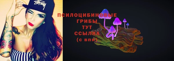мдпв Бородино