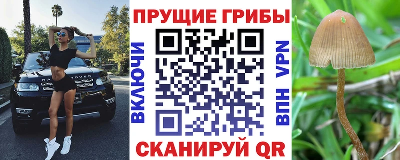 Псилоцибиновые грибы мицелий  Верхняя Пышма 